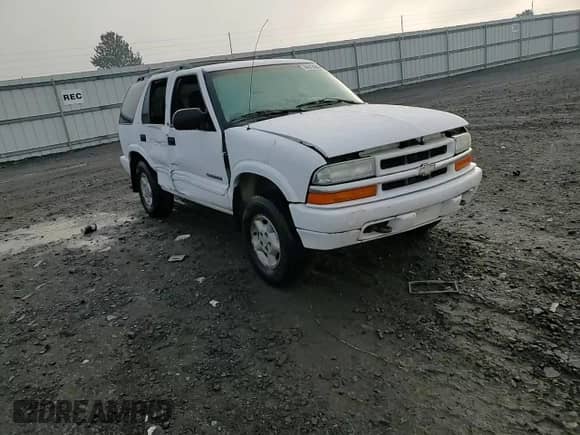 2002 Chevrolet Blazer LS z VIN 1GNDT13W12K169005, wystawiony jako Copart lot #84643884 z przebiegiem Nie podano mil oraz Szkoda całkowita • Salvage title. Historia ofert i sprzedaży dostępna na DreamBid. Obrazek 12.