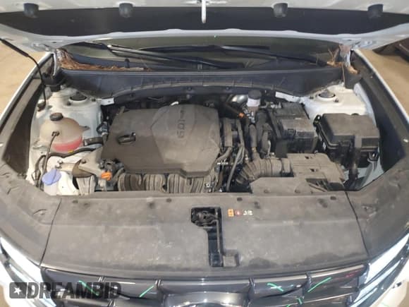 ✅ 2022 Hyundai Tucson SEL • VIN: 5NMJBCAE9NH030938 • Lot: 47556574. Wystawiony na Copart z przebiegiem 24 239 mil. Bezpłatny archiwum sprzedaży aukcyjnych z USA i szczegółowy raport historii pojazdu na DreamBid. Zdjęcie 11.