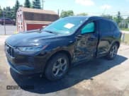 ✅ 2024 Ford Escape ST-Line • VIN: 1FMCU9MN8RUA01300 • Lot: 42687655. Wystawiony na IAAI z przebiegiem 24 263 mil. Bezpłatny archiwum sprzedaży aukcyjnych z USA i szczegółowy raport historii pojazdu na DreamBid. Zdjęcie 2.