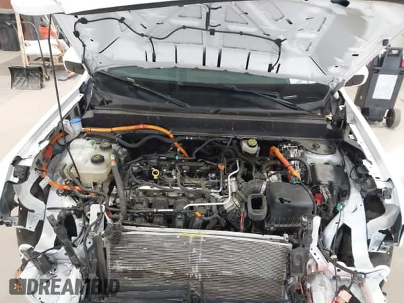 ✅ 2023 Ford Maverick XLT • VIN: 3FTTW8E30PRA42885 • Лот: 43777220. Опубликован ранее на IAAI с пробегом 52 940 миль. Бесплатный доступ к архиву аукционных продаж из США и подробный отчёт об истории автомобиля на DreamBid. Изображение 10.