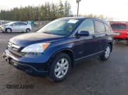 ✅ 2009 Honda CR-V EX-L • VIN: JHLRE48779C005700 • Lot: 43801960. Listed on IAAI with 123,311 mi. Free auction sales archive from the USA and detailed vehicle history report at DreamBid. Image 2.
