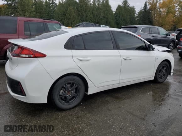 ✅ 2019 Hyundai Ioniq Blue • VIN: KMHC65LC2KU144283 • Lot: 91197845. Listed on Copart with 113,270 mi. Free auction sales archive from the USA and detailed vehicle history report at DreamBid. Image 3.