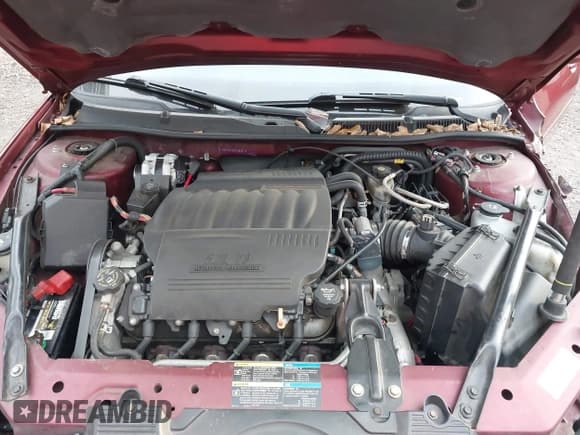 ✅ 2009 Chevrolet Impala SS • VIN: 2G1WD57C391287677 • Лот: 43737345. Опубликован ранее на IAAI с пробегом 155 557 миль. Бесплатный доступ к архиву аукционных продаж из США и подробный отчёт об истории автомобиля на DreamBid. Изображение 10.