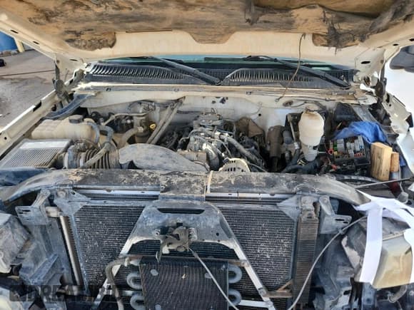 ✅ 2005 Chevrolet Silverado 2500HD LS • VIN: 1GCHK23U95F929468 • Lot: 92312705. Wystawiony na Copart z przebiegiem 314 955 mil. Bezpłatny archiwum sprzedaży aukcyjnych z USA i szczegółowy raport historii pojazdu na DreamBid. Zdjęcie 11.