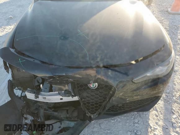 ✅ 2017 Alfa Romeo Giulia • VIN: ZARFAEBN0H7556475 • Lot: 83981885. Listed on Copart with 73,869 mi. Free auction sales archive from the USA and detailed vehicle history report at DreamBid. Image 11.