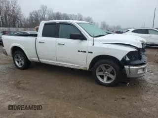 ✅ 2010 Dodge 1500 SLT • VIN: 1D7RV1GT4AS146234 • Lot: 83527274. Wystawiony na Copart z przebiegiem Nie podano. Bezpłatny archiwum sprzedaży aukcyjnych z USA i szczegółowy raport historii pojazdu na DreamBid. Zdjęcie 4.