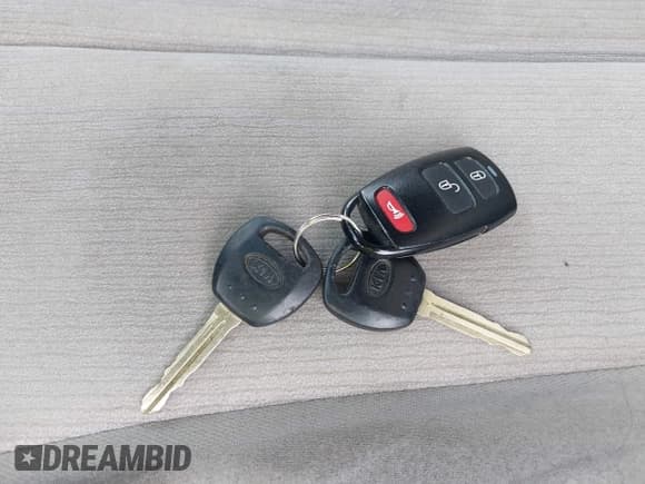 ✅ 2009 Kia Sedona EX • VIN: KNDMB233996311708 • Lot: 42556608. Listed on IAAI with 203,137 mi. Free auction sales archive from the USA and detailed vehicle history report at DreamBid. Image 11.