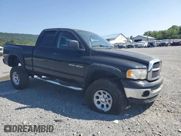 2003 Dodge 1500 ST z VIN 1D7HU18D23S244655, wystawiony jako Copart lot #67937694 z przebiegiem 167 334 mil mil oraz Szkoda całkowita • Salvage title. Historia ofert i sprzedaży dostępna na DreamBid. Obrazek 4.