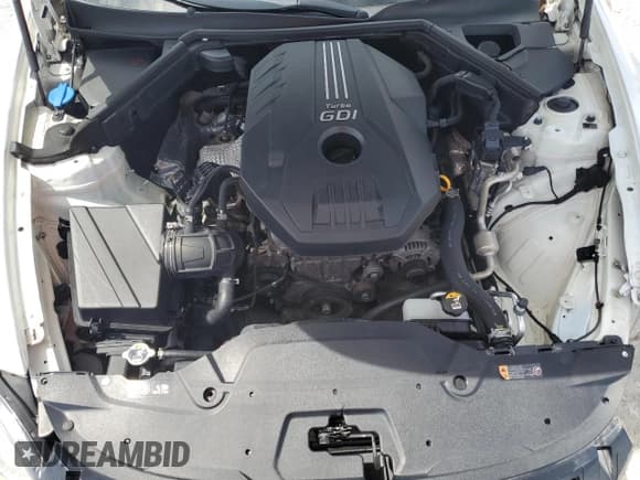 ✅ 2020 Kia Stinger GT-Line • VIN: KNAE15LA9L6083060 • Лот: 62824085. Опубликован ранее на Copart с пробегом 165 805 миль. Бесплатный доступ к архиву аукционных продаж из США и подробный отчёт об истории автомобиля на DreamBid. Изображение 11.