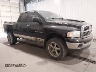 2004 Dodge 1500 SLT z VIN 1D7HU18D04S648524, wystawiony jako IAAI lot #43335178 z przebiegiem 134 419 mil mil oraz . Historia ofert i sprzedaży dostępna na DreamBid. Obrazek 1.