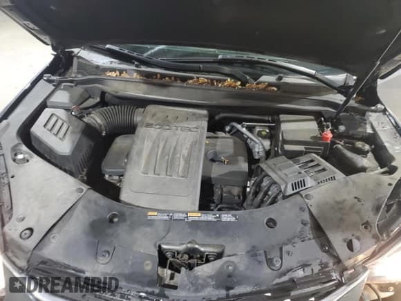 ✅ 2017 Chevrolet Equinox LS • VIN: 2GNFLEEK6H6233349 • Lot: 89797395. Listed on Copart with 60,113 mi. Free auction sales archive from the USA and detailed vehicle history report at DreamBid. Image 11.