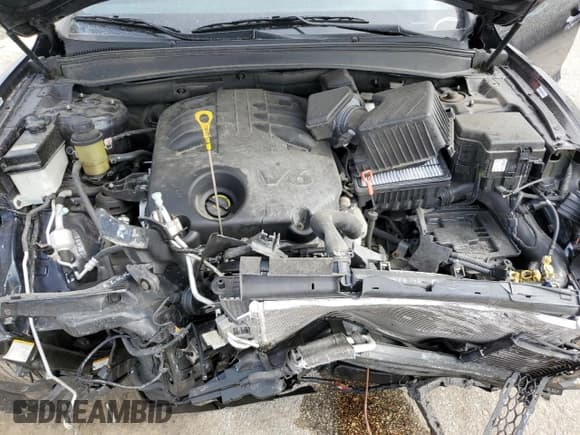 ✅ 2009 Hyundai Santa Fe Limited • VIN: 5NMSH13E39H324569 • Lot: 86594255. Listed on Copart with Not provided. Free auction sales archive from the USA and detailed vehicle history report at DreamBid. Image 11.