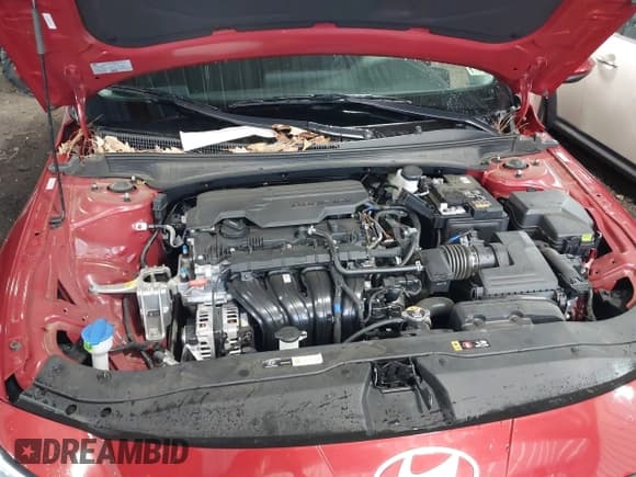 ✅ 2024 Hyundai Elantra SEL • VIN: KMHLM4DG6RU698759 • Lot: 41481310. Listed on IAAI with 9,739 mi. Free auction sales archive from the USA and detailed vehicle history report at DreamBid. Image 10.