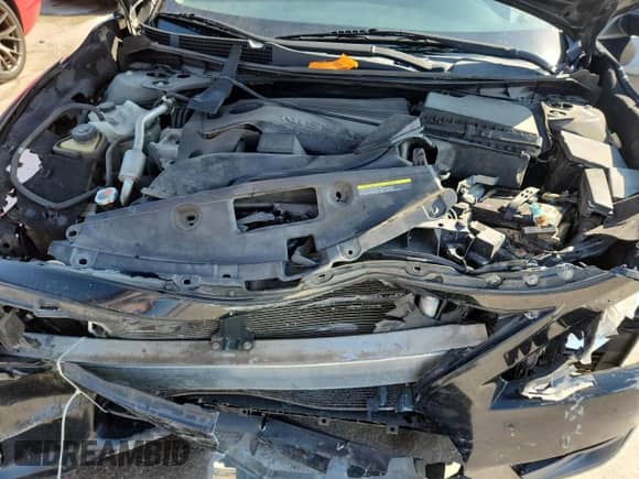 2015 Nissan Altima S with VIN 1N4AL3AP9FN920719, listed as a Copart auction lot 70376055 with Not provided miles and Salvage title. Bid and sale history available at DreamBid. Image 11.