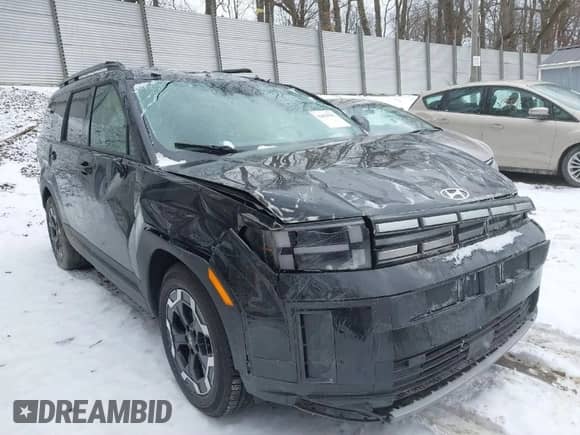 2024 Hyundai Santa Fe SEL с VIN 5NMP2DGL0RH009181, выставлен на аукционе IAAI как лот 41629507 с пробегом 11 120 миль миль и . История ставок и продаж доступна на DreamBid. Изображение 1.