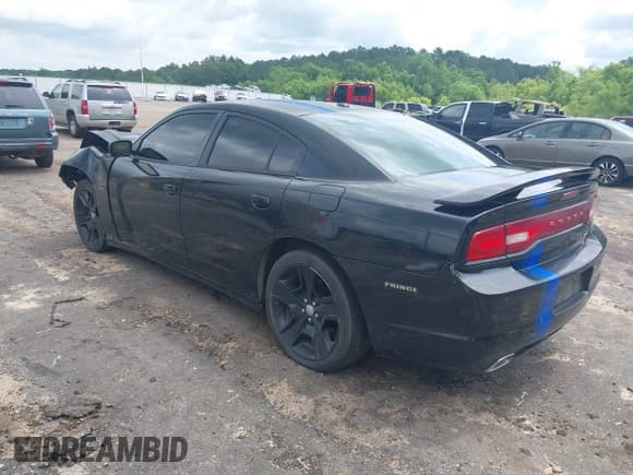 ✅ 2011 Dodge Charger Mopar 11 • VIN: 2B3CL5CT8BH615970 • Лот: 42337205. Опубликован ранее на IAAI с пробегом 209 872 миль. Бесплатный доступ к архиву аукционных продаж из США и подробный отчёт об истории автомобиля на DreamBid. Изображение 3.