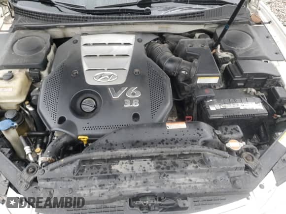 2007 Hyundai Azera SE z VIN KMHFC46F47A171001, wystawiony jako Copart lot #43953835 z przebiegiem 217 443 mil mil oraz Szkoda całkowita • Salvage title. Historia ofert i sprzedaży dostępna na DreamBid. Obrazek 12.