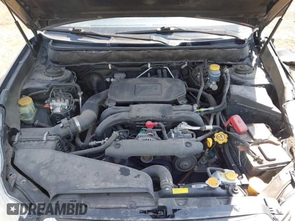 ✅ 2010 Subaru Outback Premium All-Weather Anniversary • VIN: 4S4BRBCC5A3341325 • Lot: 42443920. Listed on IAAI with 248,131 mi. Free auction sales archive from the USA and detailed vehicle history report at DreamBid. Image 10.