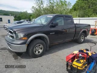 ✅ 2010 Dodge 1500 SLT • VIN: 1D7RV1GP6AS216576 • Lot: 56883685. Wystawiony na Copart z przebiegiem 194 289 mil. Bezpłatny archiwum sprzedaży aukcyjnych z USA i szczegółowy raport historii pojazdu na DreamBid. Zdjęcie 1.