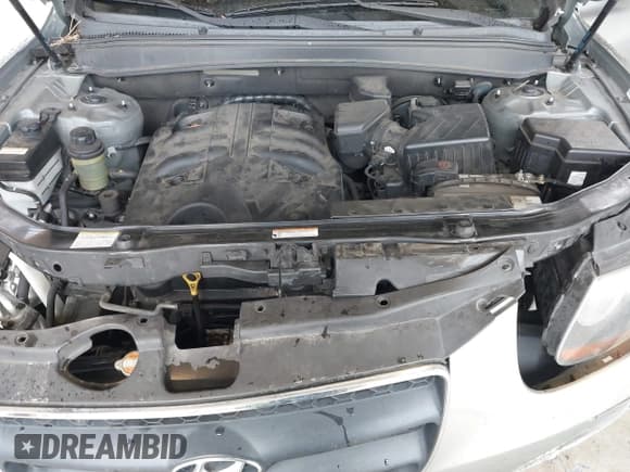 ✅ 2008 Hyundai Santa Fe SE • VIN: 5NMSH73E48H170293 • Lot: 43422685. Wystawiony na IAAI z przebiegiem 195 842 mil. Bezpłatny archiwum sprzedaży aukcyjnych z USA i szczegółowy raport historii pojazdu na DreamBid. Zdjęcie 10.