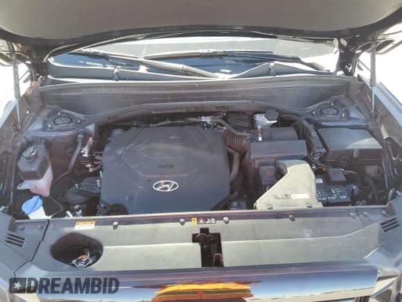 ✅ 2023 Hyundai Palisade Limited • VIN: KM8R5DGE7PU509230 • Лот: 76122664. Опубликован ранее на Copart с пробегом 40 673 миль. Бесплатный доступ к архиву аукционных продаж из США и подробный отчёт об истории автомобиля на DreamBid. Изображение 12.