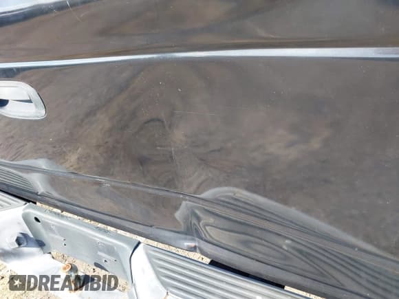 ✅ 2002 Dodge Dakota SLT • VIN: 1B7HL48X82S603451 • Лот: 43524640. Опубликован ранее на IAAI с пробегом 176 199 миль. Бесплатный доступ к архиву аукционных продаж из США и подробный отчёт об истории автомобиля на DreamBid. Изображение 6.