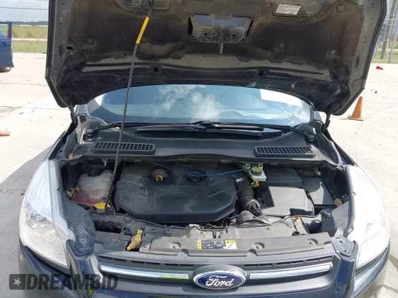 ✅ 2015 Ford Escape SE • VIN: 1FMCU0G91FUB32395 • Lot: 43521911. Listed on IAAI with 84,750 mi. Free auction sales archive from the USA and detailed vehicle history report at DreamBid. Image 10.