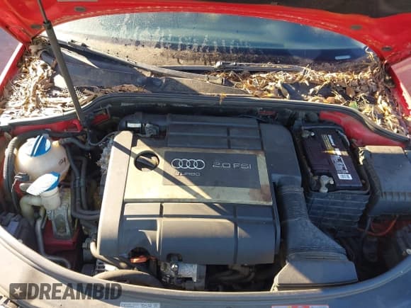 ✅ 2008 Audi A3 • VIN: WAUHF78P18A075935 • Lot: 43646873. Listed on IAAI with 172,659 mi. Free auction sales archive from the USA and detailed vehicle history report at DreamBid. Image 10.