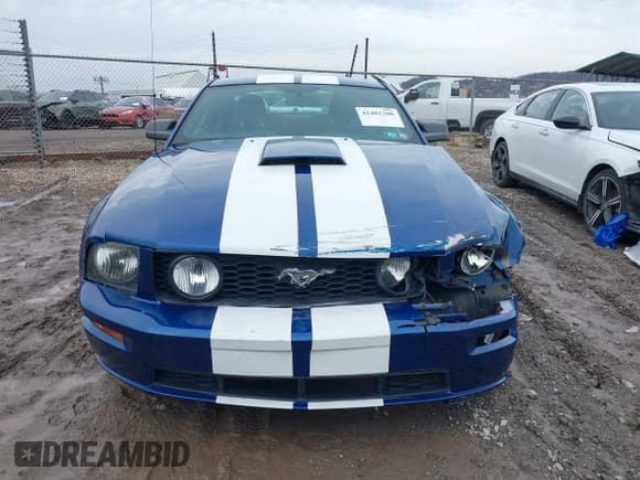 ✅ 2009 Ford Mustang GT • VIN: 1ZVHT82HX95119781 • Лот: 41482288. Опубликован ранее на IAAI с пробегом 70 757 миль. Бесплатный доступ к архиву аукционных продаж из США и подробный отчёт об истории автомобиля на DreamBid. Изображение 12.