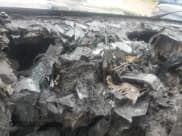 ✅ 2007 Jeep Wrangler X • VIN: 1J4GA39117L162960 • Lot: 60856905. Listed on Copart with Not provided. Free auction sales archive from the USA and detailed vehicle history report at DreamBid. Image 9.