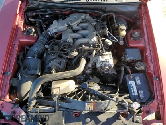 ✅ 2000 Ford Mustang • VIN: 1FAFP4041YF177235 • Lot: 86672405. Listed on Copart with 159,903 mi. Free auction sales archive from the USA and detailed vehicle history report at DreamBid. Image 11.