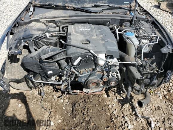 ✅ 2015 Audi A5 Premium • VIN: WAUCFAFR4FA034403 • Lot: 84794025. Wystawiony na Copart z przebiegiem 71 879 mil. Bezpłatny archiwum sprzedaży aukcyjnych z USA i szczegółowy raport historii pojazdu na DreamBid. Zdjęcie 11.