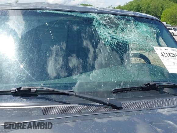 ✅ 2007 Ford Ranger XL • VIN: 1FTZR15E47PA49551 • Lot: 42182815. Wystawiony na IAAI z przebiegiem 108 588 mil. Bezpłatny archiwum sprzedaży aukcyjnych z USA i szczegółowy raport historii pojazdu na DreamBid. Zdjęcie 15.