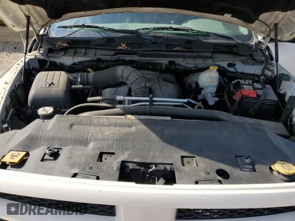 2009 Dodge 1500 TRX с VIN 1D3HV13TX9S713142, выставлен на аукционе Copart как лот 55308635 с пробегом 181 651 миль миль и Списание • Salvage title. История ставок и продаж доступна на DreamBid. Изображение 11.