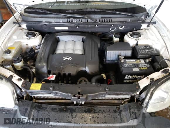 2004 Hyundai Santa Fe GLS z VIN KM8SC73D04U757742, wystawiony jako Copart lot #43533645 z przebiegiem 201 124 mil mil oraz Szkoda całkowita • Salvage title. Historia ofert i sprzedaży dostępna na DreamBid. Obrazek 12.