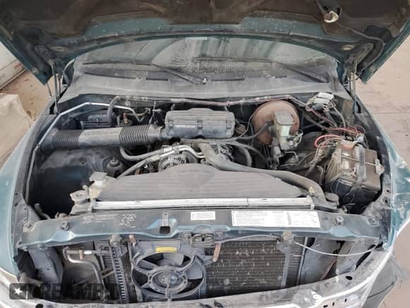 1995 Dodge 1500 с VIN 3B7HF13ZXSM146083, выставлен на аукционе Copart как лот 86597354 с пробегом 207 529 миль миль и Списание • Salvage title. История ставок и продаж доступна на DreamBid. Изображение 11.