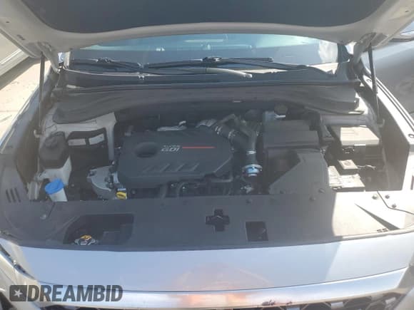 ✅ 2020 Hyundai Santa Fe SEL • VIN: 5NMS3CAA7LH191218 • Lot: 61164673. Wystawiony na Copart z przebiegiem 29 955 mil. Bezpłatny archiwum sprzedaży aukcyjnych z USA i szczegółowy raport historii pojazdu na DreamBid. Zdjęcie 12.