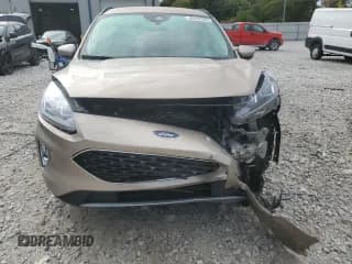 ✅ 2021 Ford Escape SEL • VIN: 1FMCU9H91MUB11255 • Lot: 86254325. Listed on Copart with 38,663 mi. Free auction sales archive from the USA and detailed vehicle history report at DreamBid. Image 5.