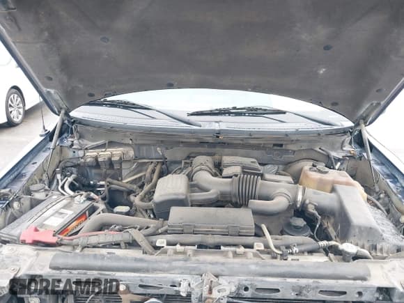 ✅ 2010 Ford F-150 XL • VIN: 1FTFW1CV5AFD59333 • Lot: 41648524. Wystawiony na IAAI z przebiegiem 127 378 mil. Bezpłatny archiwum sprzedaży aukcyjnych z USA i szczegółowy raport historii pojazdu na DreamBid. Zdjęcie 10.