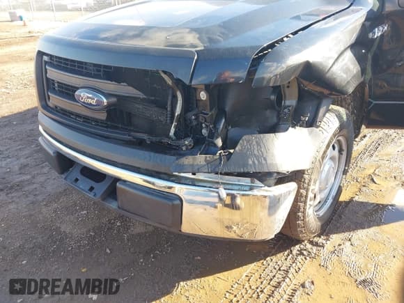 ✅ 2013 Ford F-150 XL • VIN: 1FTMF1CM5DKF15526 • Лот: 43500805. Опубликован ранее на IAAI с пробегом 116 446 миль. Бесплатный доступ к архиву аукционных продаж из США и подробный отчёт об истории автомобиля на DreamBid. Изображение 6.