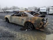 ✅ 2004 Ford Mustang SVT Cobra • VIN: 1FAFP48Y14F162798 • Lot: 83414054. Wystawiony na Copart z przebiegiem Nie podano. Bezpłatny archiwum sprzedaży aukcyjnych z USA i szczegółowy raport historii pojazdu na DreamBid. Zdjęcie 2.