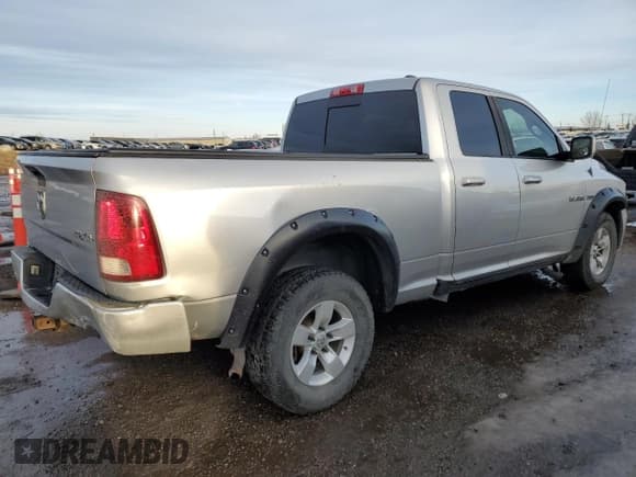 ✅ 2010 Dodge 1500 Laramie • VIN: 1D7RV1GT0AS174032 • Lot: 88287785. Wystawiony na Copart z przebiegiem 315 160 mil. Bezpłatny archiwum sprzedaży aukcyjnych z USA i szczegółowy raport historii pojazdu na DreamBid. Zdjęcie 3.