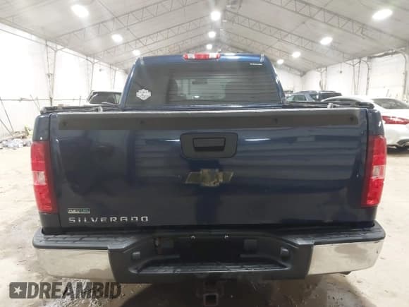 ✅ 2010 Chevrolet Silverado 1500 Work Truck • VIN: 3GCRKPEA2AG201374 • Lot: 41150792. Listed on IAAI with Not provided. Free auction sales archive from the USA and detailed vehicle history report at DreamBid. Image 16.