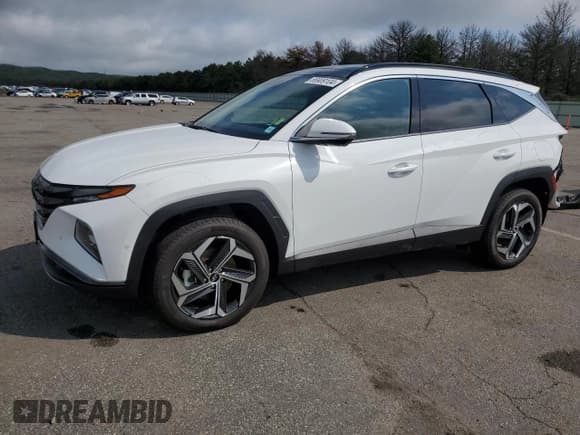 ✅ 2023 Hyundai Tucson Limited • VIN: 5NMJECAE1PH290969 • Lot: 66909104. Wystawiony na Copart z przebiegiem 1 017 mil. Bezpłatny archiwum sprzedaży aukcyjnych z USA i szczegółowy raport historii pojazdu na DreamBid. Zdjęcie 1.