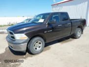 ✅ 2010 Dodge 1500 SLT • VIN: 1D7RV1GT4AS257379 • Lot: 42659430. Listed on IAAI with 206,013 mi. Free auction sales archive from the USA and detailed vehicle history report at DreamBid. Image 2.