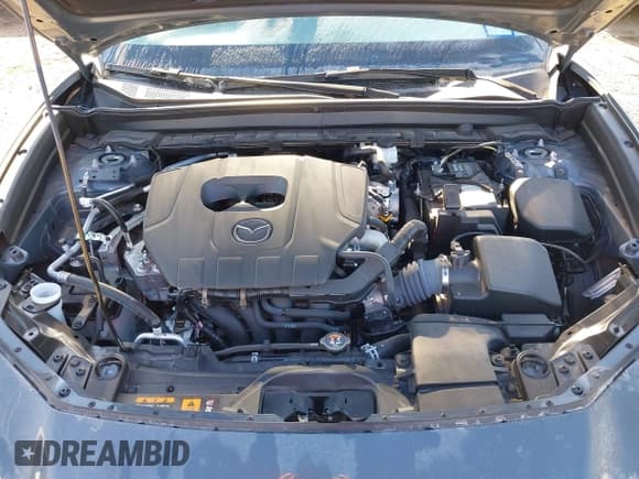 ✅ 2024 Mazda CX-30 S Carbon Edition • VIN: 3MVDMBCM7RM604170 • Lot: 41388389. Listed on IAAI with 4,164 mi. Free auction sales archive from the USA and detailed vehicle history report at DreamBid. Image 10.