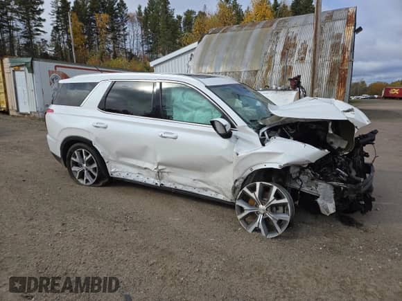 ✅ 2021 Hyundai Palisade SEL • VIN: KM8R3DHE2MU283386 • Lot: 84896555. Listed on Copart with 104,222 mi. Free auction sales archive from the USA and detailed vehicle history report at DreamBid. Image 4.