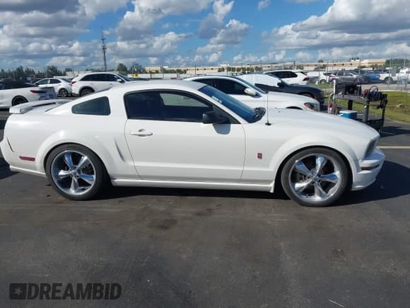✅ 2005 Ford Mustang GT Deluxe • VIN: 1ZVHT82H255233669 • Лот: 43479285. Опубликован ранее на IAAI с пробегом 245 239 миль. Бесплатный доступ к архиву аукционных продаж из США и подробный отчёт об истории автомобиля на DreamBid. Изображение 12.
