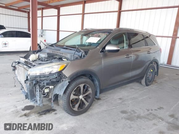 ✅ 2017 Kia Sorento EX • VIN: 5XYPH4A50HG302256 • Лот: 42853541. Опубликован ранее на IAAI с пробегом 123 529 миль. Бесплатный доступ к архиву аукционных продаж из США и подробный отчёт об истории автомобиля на DreamBid. Изображение 21.