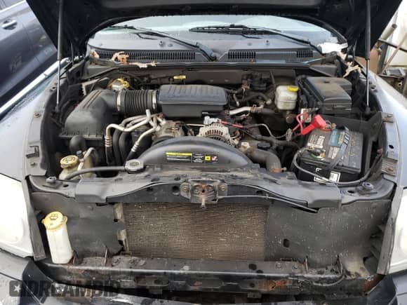 2006 Dodge Dakota SLT с VIN 1D7HW48N46S646881, выставлен на аукционе Copart как лот 82167974 с пробегом 188 071 миль миль и Списание • Salvage title. История ставок и продаж доступна на DreamBid. Изображение 11.